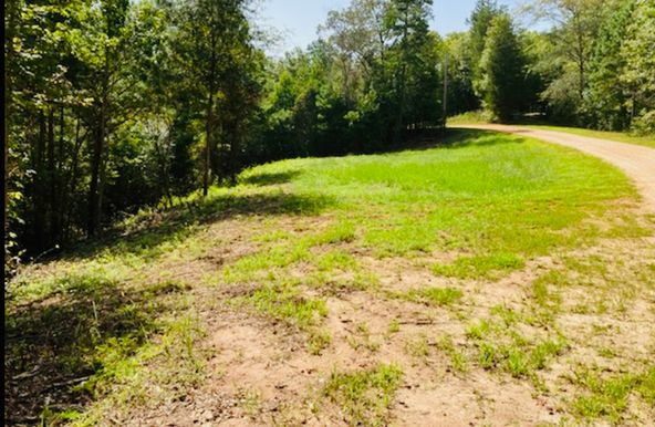 Lot 33 Woodgate Shores Dr: Lot 33 Woodgate Shores Dr, Wedowee, AL 36278